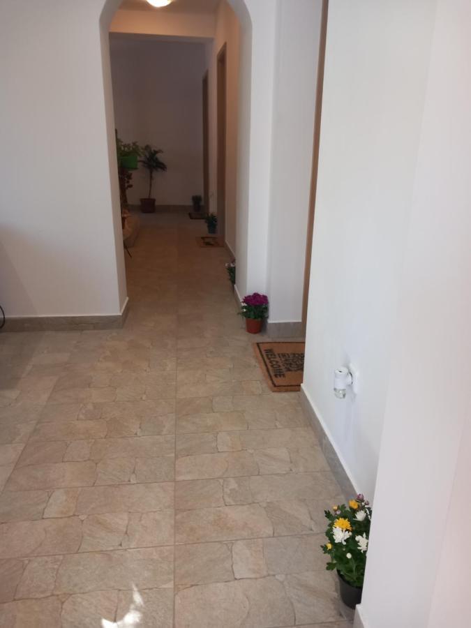Стаи За Гости - Цветето На Ангела Bankya Bagian luar foto